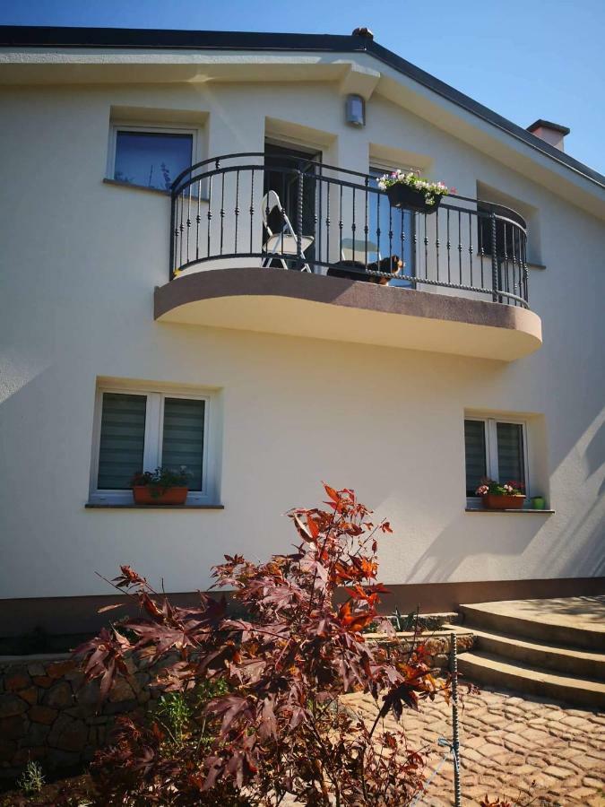 Apartment Senia *